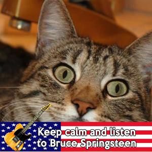 Meet your Posher, Connie